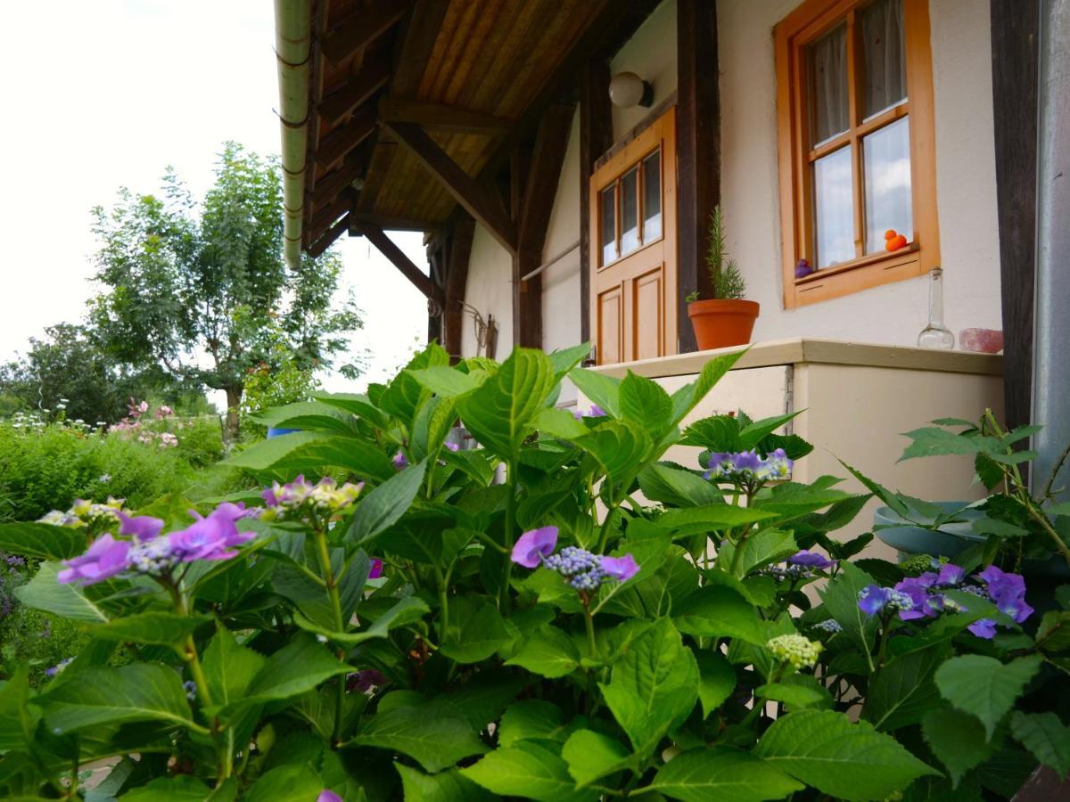 Selanka Off Road Hill View Hotel Moravske Lieskove Luaran gambar