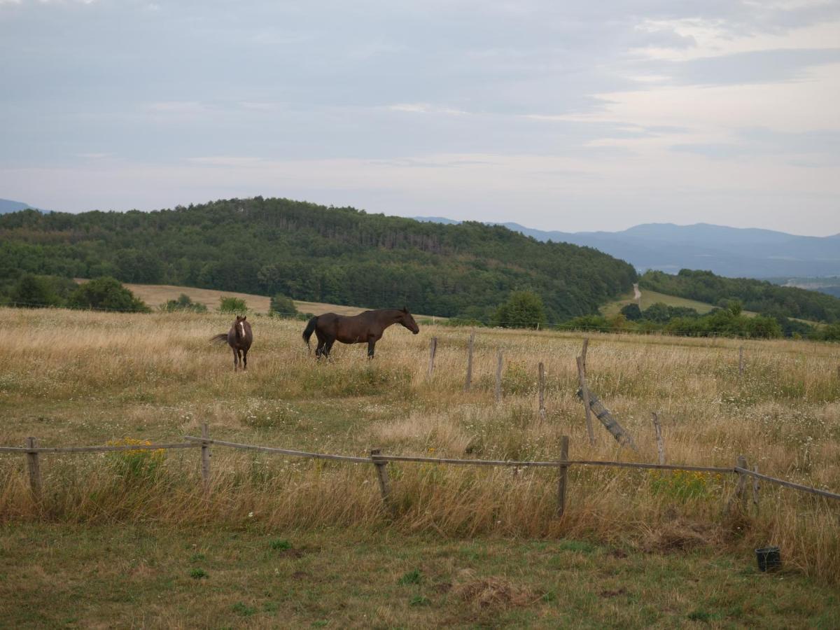 Selanka Off Road Hill View Hotel Moravske Lieskove Luaran gambar